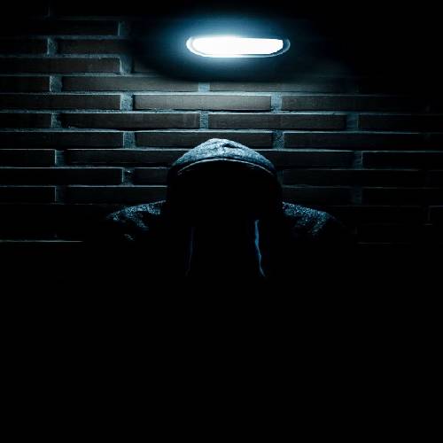 آیدا شاه قاسمی چکاوک